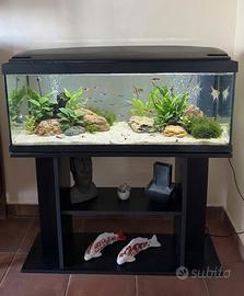 ACQUARIO + ACCESSORI