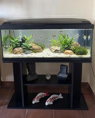 ACQUARIO + ACCESSORI