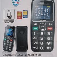 telefono cellulare per anziani