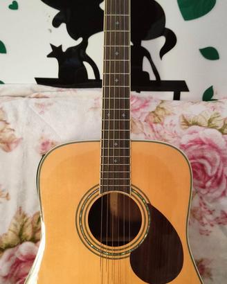 Greg Bennet (Samik) D-5 amplificata Washburn 