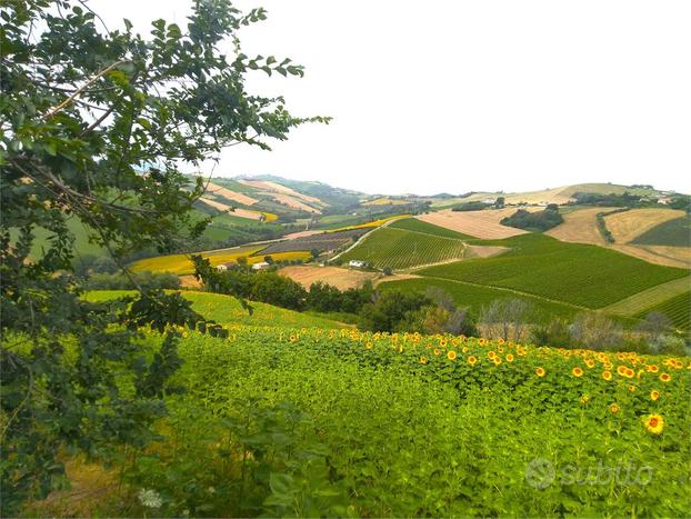 Terreno Agricolo a Carassai