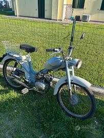 motorino atala cr