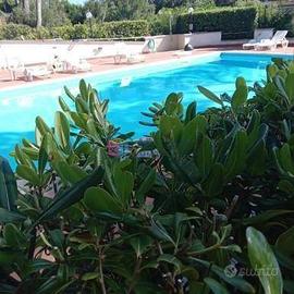 Appartamento di 50 m² con 2 locali a Rosignano Mar