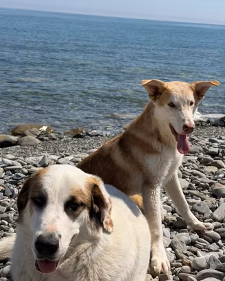 Lunita & Simba