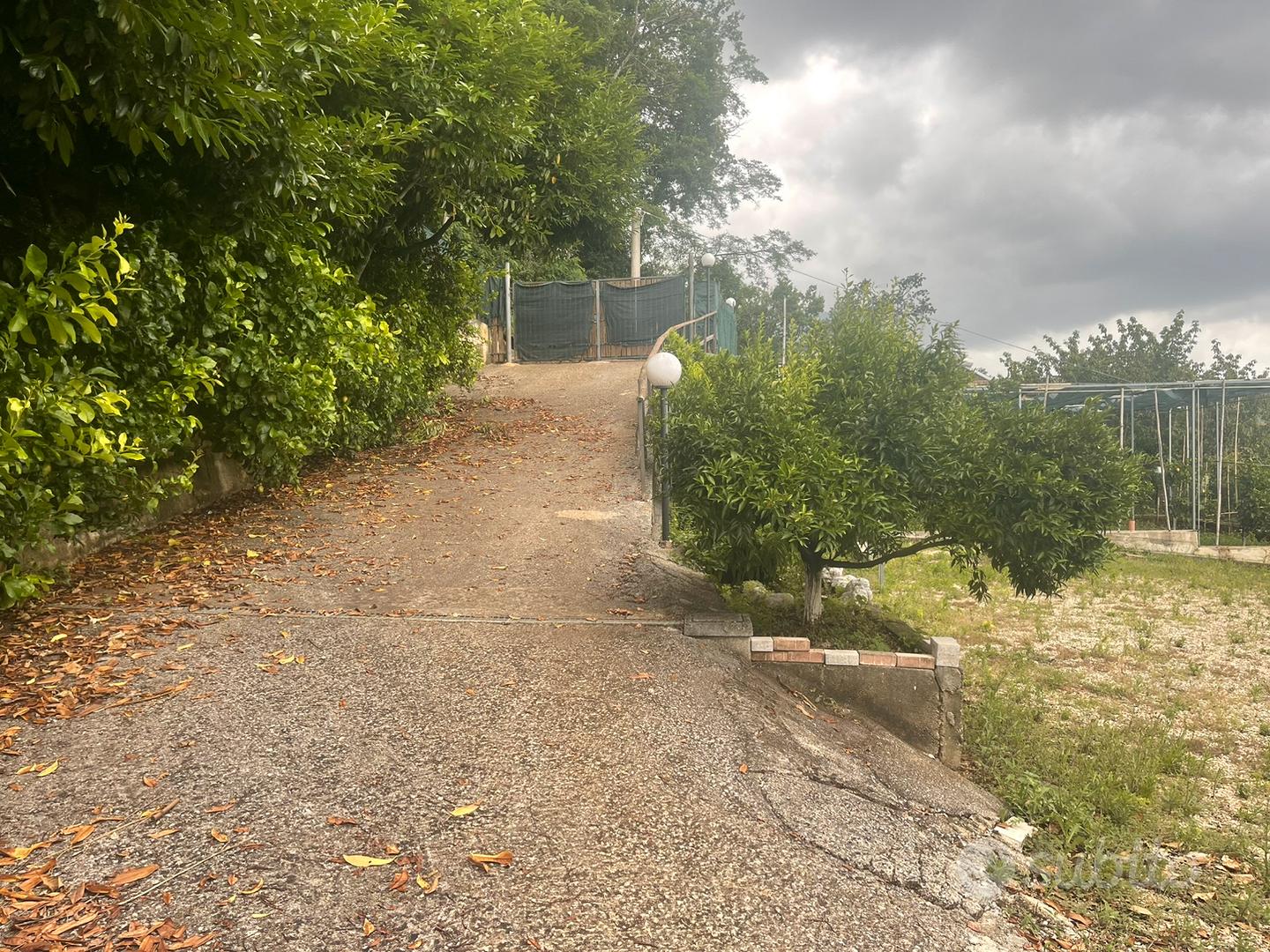 Terreno agricolo - Vista 4
