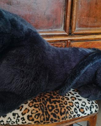 Pantera nera grande
