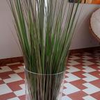 vaso vetro più pianta finta 