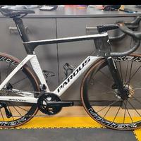 Bici da corsa
