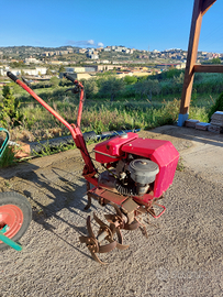 Motozappa MAG guasta