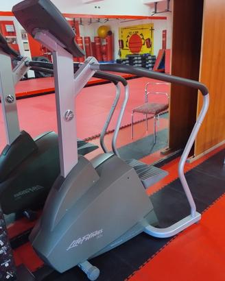 Life Fitness Step. 90s