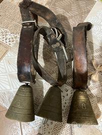 Campane