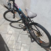 MTB bicicletta 
