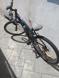 MTB bicicletta 