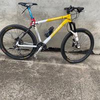 Mountain bike