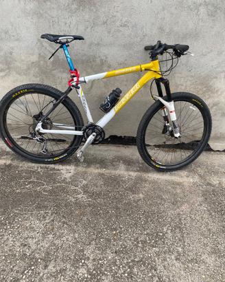 Mountain bike