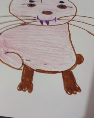 Disegni