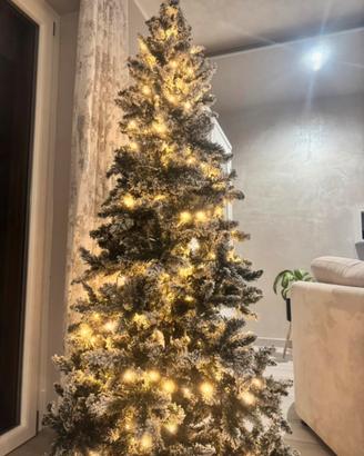 Albero di Natale