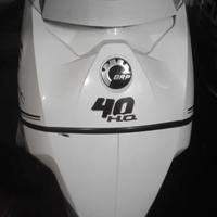 Motore fuoribordo Evinrude