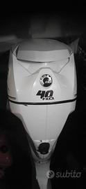 Motore fuoribordo Evinrude