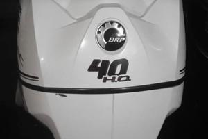 Motore fuoribordo Evinrude