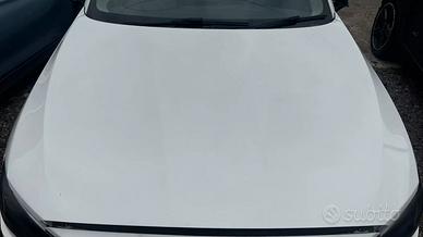 Cofano Originale Bmw Serie F20 F21 F22 F23 2011-19