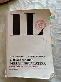 IL vocabolario della letteratura latina