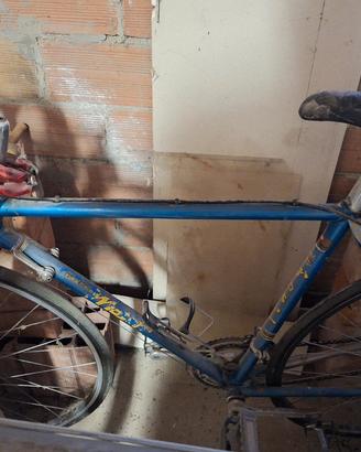 Bicicletta Moser da corsa