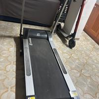 Tapiluran energetics