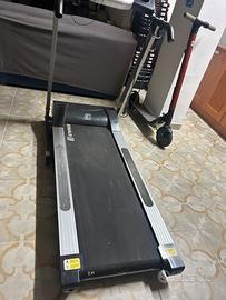 Tapiluran energetics