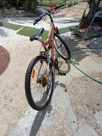 bicicletta