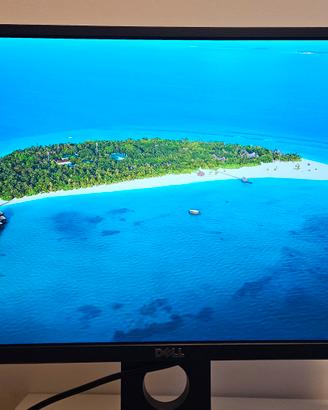 Dell P2317H - Full HD IPS