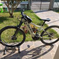 E-mtb giant