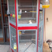 Voliera/gabbia per pappagalli uccellini e roditori