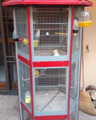 Voliera/gabbia per pappagalli uccellini e roditori