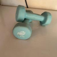 Pesi da 1.5 kg ciascuno
