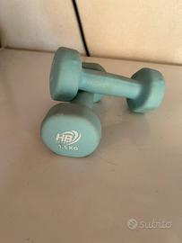Pesi da 1.5 kg ciascuno