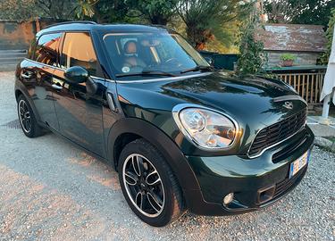 Mini countryman
