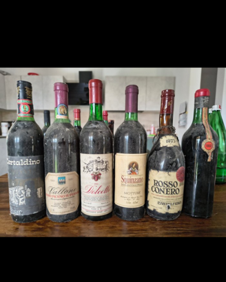 lotto 6 bottilgie di vino