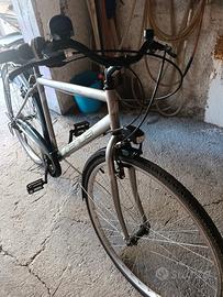 bicicletta da passeggio 