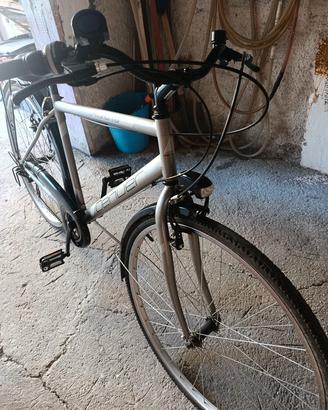 bicicletta da passeggio 