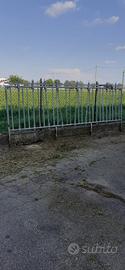Trappola per vitelli