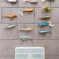 artificiali per pesca