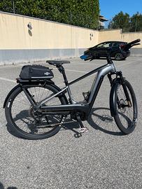 Cannondale Tesoro Neo X1