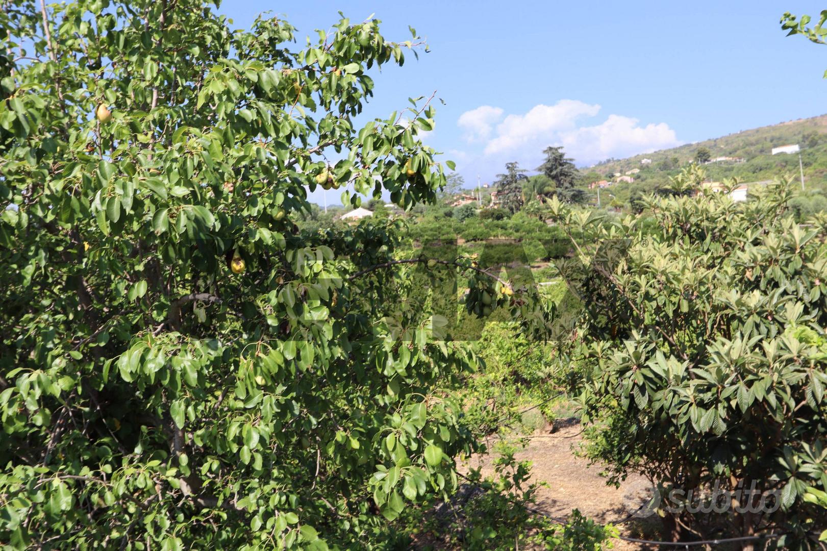 Terreno - Mascali - Vista 3