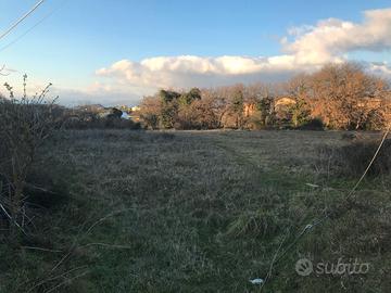 Terreno pianeggiante