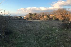 Terreno pianeggiante