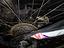 Immagine 4