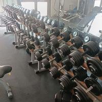 Palestra