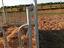 Immagine 5