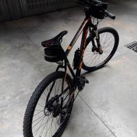 Bicicletta mountain Bike